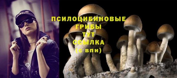 ГАЛЛЮЦИНОГЕННЫЕ ГРИБЫ Приозерск