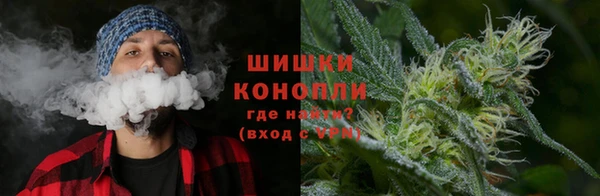 ГАЛЛЮЦИНОГЕННЫЕ ГРИБЫ Приозерск