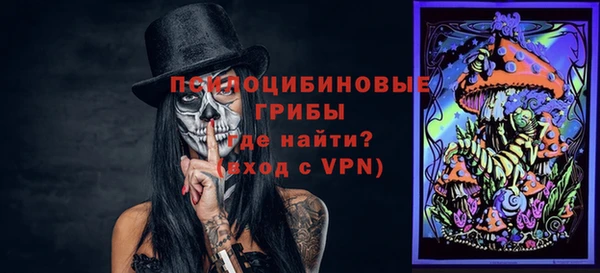 ГАЛЛЮЦИНОГЕННЫЕ ГРИБЫ Приозерск