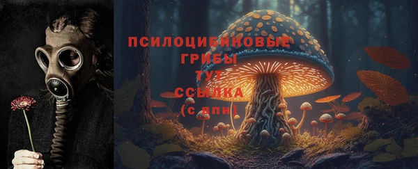 MDMA Пролетарск
