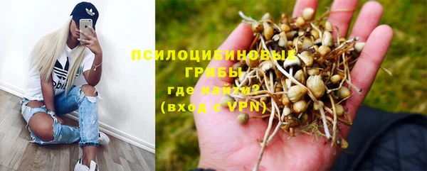 спайс Протвино