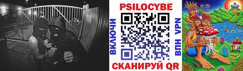 Псилоцибиновые грибы GOLDEN TEACHER  Рудня 
